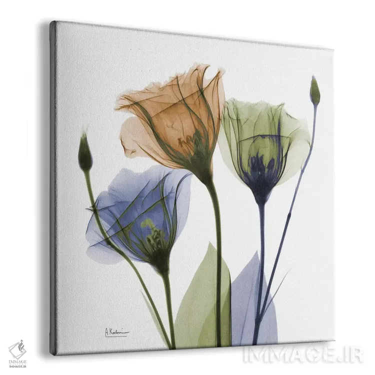 تابلو دوستان جنتیان اثر آلبرت کوئتسیِر - نمای پرسپکتیو محصول