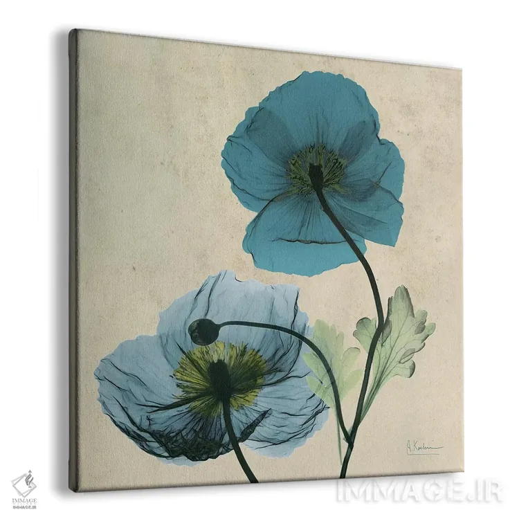 تابلو خشخاش آبی ایسلند اثر آلبرت کوئتسیِر - نمای پرسپکتیو محصول