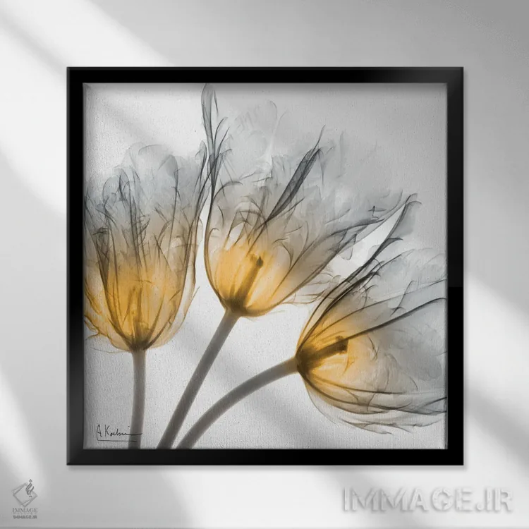 تابلو رشد انفجاری اثر آلبرت کوئتسیِر - نمای قابدار مشکی