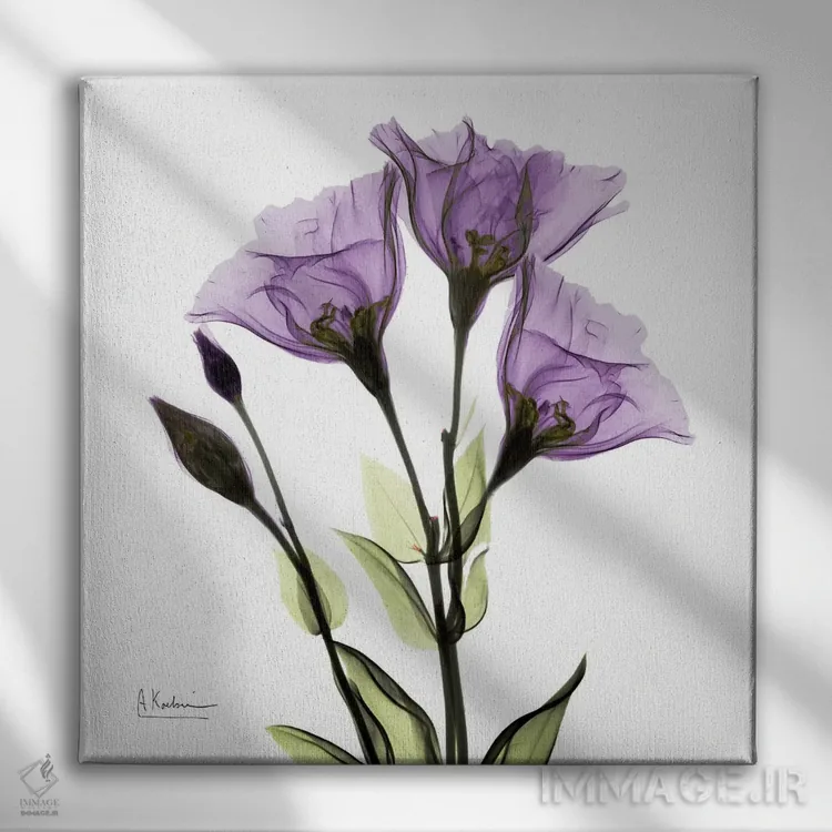 تابلو باور جنتیان اثر آلبرت کوئتسیِر - نمای روبهرو روی دیوار