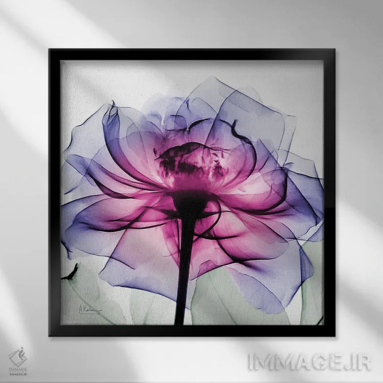 تابلو رز لِنی II اثر آلبرت کوئتسیِر - نمای قابدار مشکی