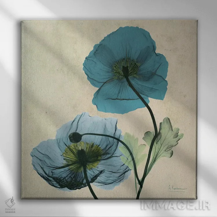 تابلو خشخاش آبی ایسلند اثر آلبرت کوئتسیِر - نمای روبهرو روی دیوار