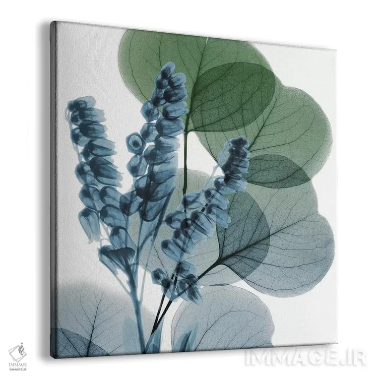 تابلو سوسن اکالیپتوس I اثر آلبرت کوئتسیِر - نمای پرسپکتیو محصول