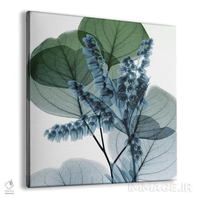 تابلو سوسن اکالیپتوس II اثر آلبرت کوئتسیِر - نمای پرسپکتیو محصول