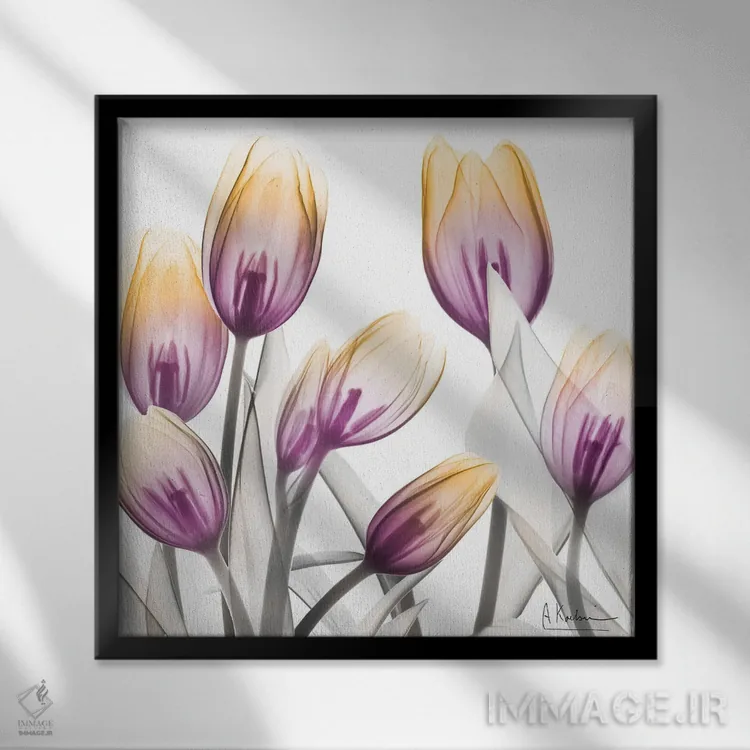 تابلو لالههای طلوع آفتاب I اثر آلبرت کوئتسیِر - نمای قابدار مشکی