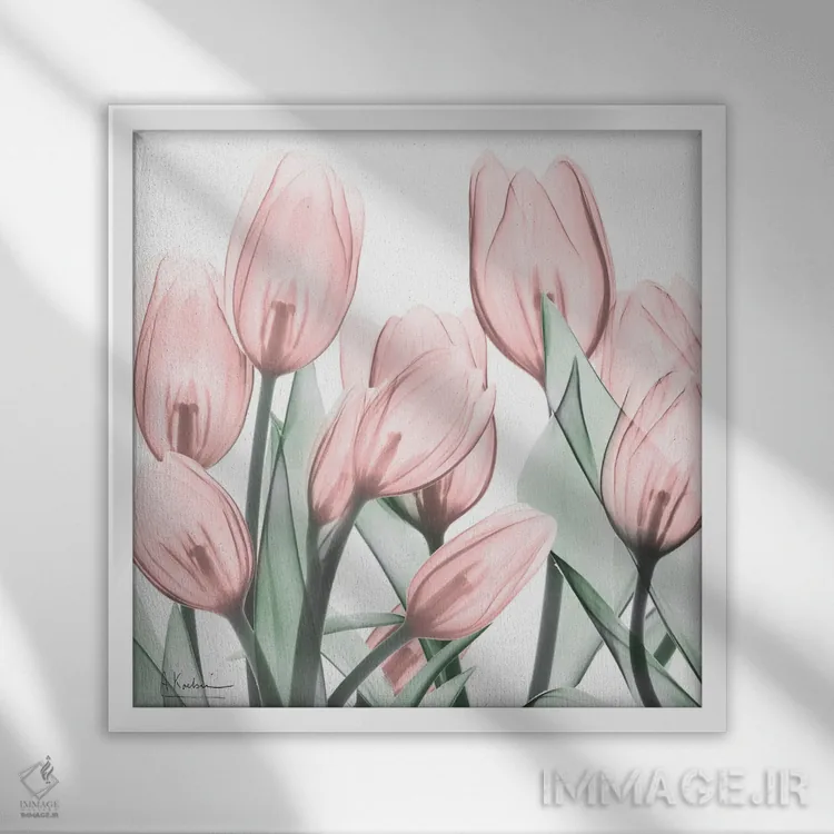 تابلو لالههای صورتی لطیف I اثر آلبرت کوئتسیِر - نمای قابدار سفید