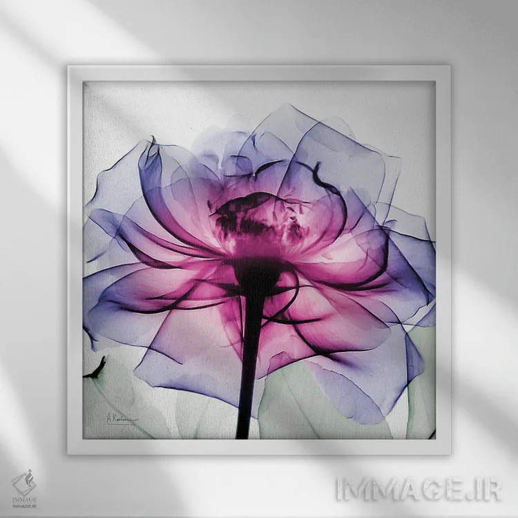 تابلو رز لِنی II اثر آلبرت کوئتسیِر - نمای قابدار سفید