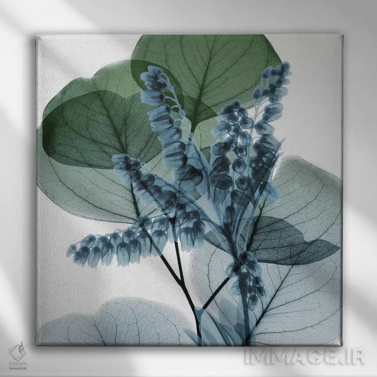 تابلو سوسن اکالیپتوس II اثر آلبرت کوئتسیِر - نمای روبهرو روی دیوار