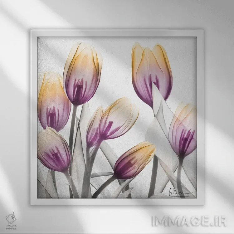 تابلو لالههای طلوع آفتاب I اثر آلبرت کوئتسیِر - نمای قابدار سفید