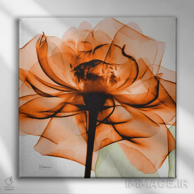 تابلو رز نارنجی اثر آلبرت کوئتسیِر - نمای روبهرو روی دیوار