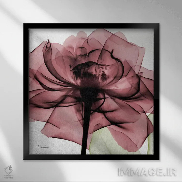 تابلو رز کیانتی II اثر آلبرت کوئتسیِر - نمای قابدار مشکی