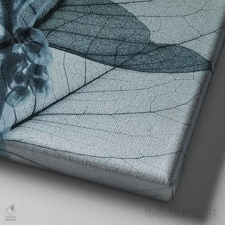 تابلو سوسن اکالیپتوس II اثر آلبرت کوئتسیِر - نمای نزدیک بافت بوم