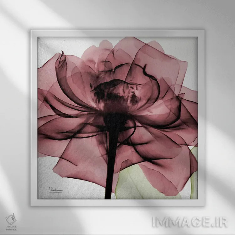 تابلو رز کیانتی II اثر آلبرت کوئتسیِر - نمای قابدار سفید