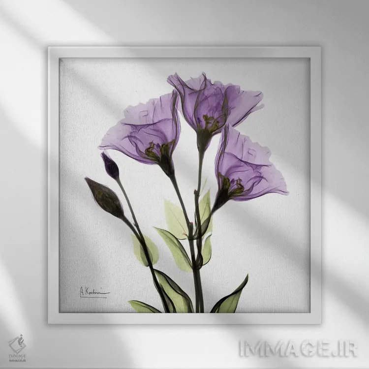 تابلو باور جنتیان اثر آلبرت کوئتسیِر - نمای قابدار سفید