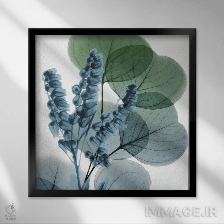 تابلو سوسن اکالیپتوس I اثر آلبرت کوئتسیِر - نمای قابدار مشکی