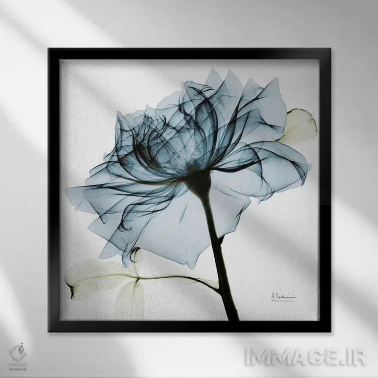 تابلو رز سبزآبی III اثر آلبرت کوئتسیِر - نمای قابدار مشکی