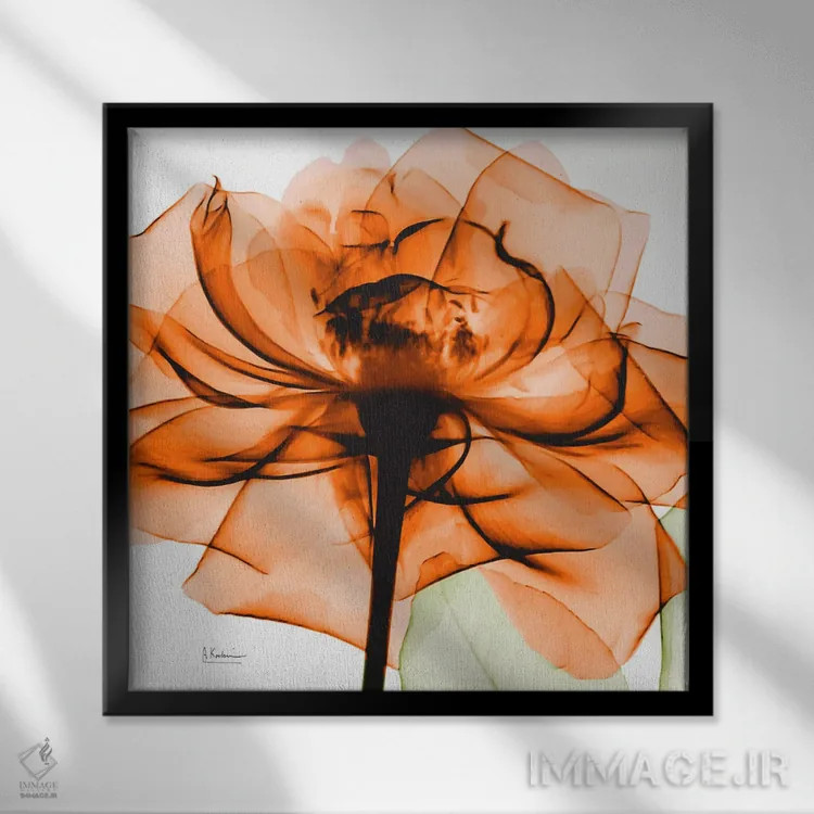 تابلو رز نارنجی اثر آلبرت کوئتسیِر - نمای قابدار مشکی