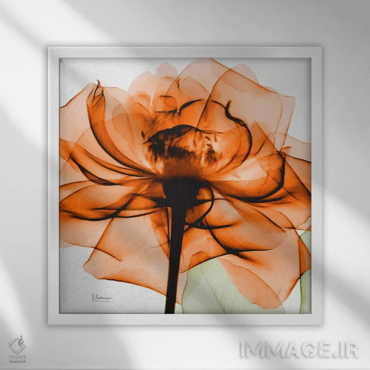 تابلو رز نارنجی اثر آلبرت کوئتسیِر - نمای قابدار سفید
