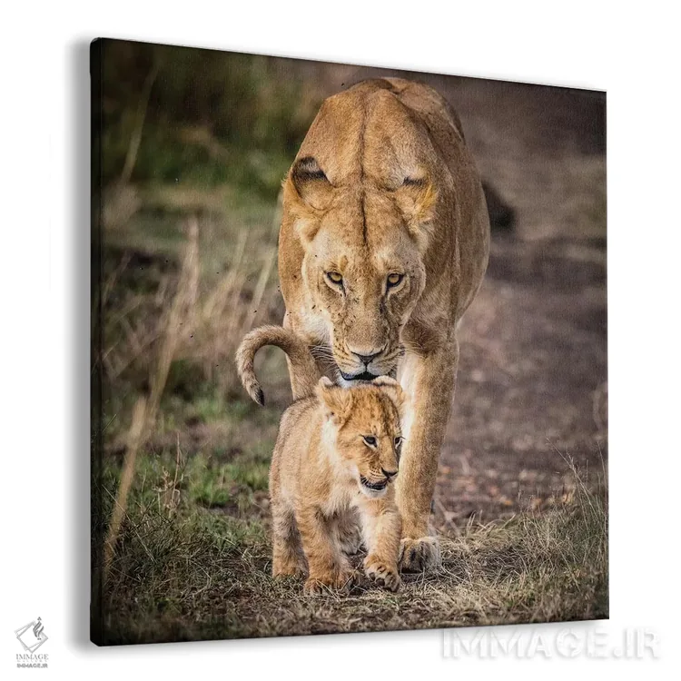 تابلو ذخیرهگاه ملی ماسایی مارا، شهرستان ناروک، کنیا VI اثر الکس بیوس - نمای پرسپکتیو محصول