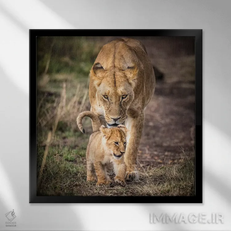 تابلو ذخیرهگاه ملی ماسایی مارا، شهرستان ناروک، کنیا VI اثر الکس بیوس - نمای قابدار مشکی