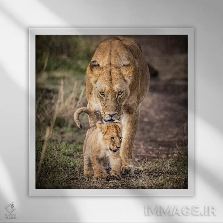 تابلو ذخیرهگاه ملی ماسایی مارا، شهرستان ناروک، کنیا VI اثر الکس بیوس - نمای قابدار سفید