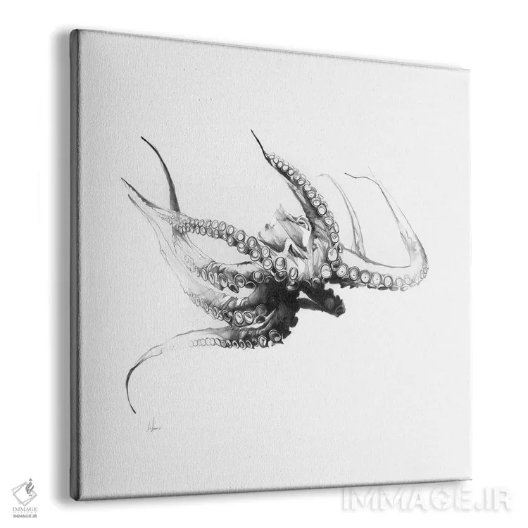 تابلو اختاپوس روبسنس (گونه جانوری) اثر الکسیس مارکو - نمای پرسپکتیو محصول