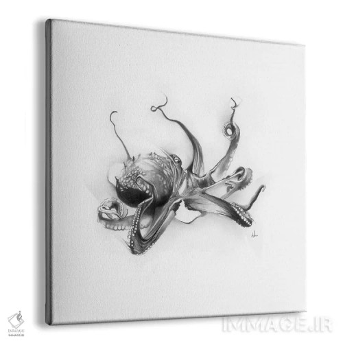 تابلو اختاپوس اقیانوس آرام اثر الکسیس مارکو - نمای پرسپکتیو محصول