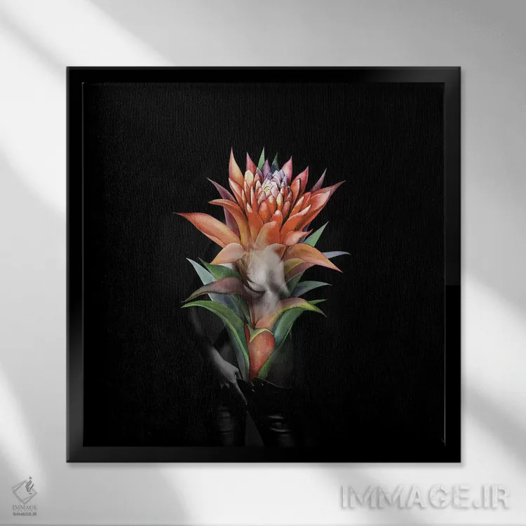 تابلو گل گوزمانیا (گیاه گرمسیری) اثر تاتیانا آمرِین - نمای قابدار مشکی