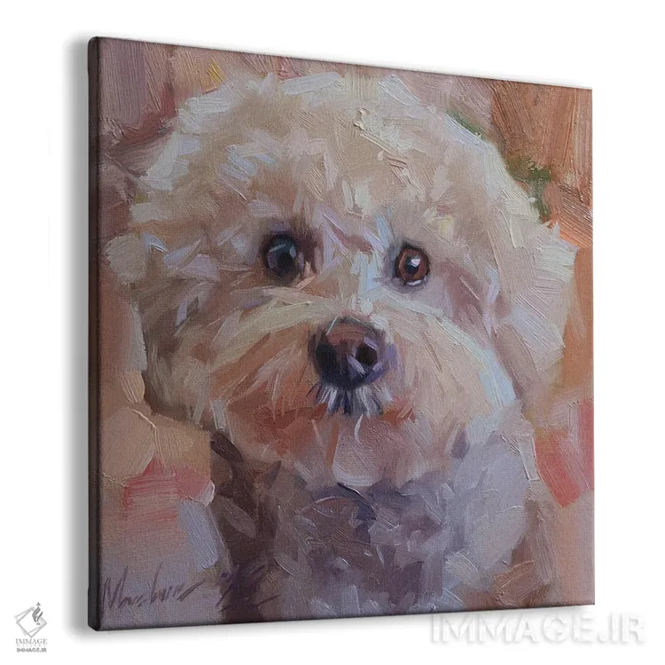 تابلو پرترهٔ پودل سفید کوچک (سگ) اثر الکس مووچون - نمای پرسپکتیو محصول