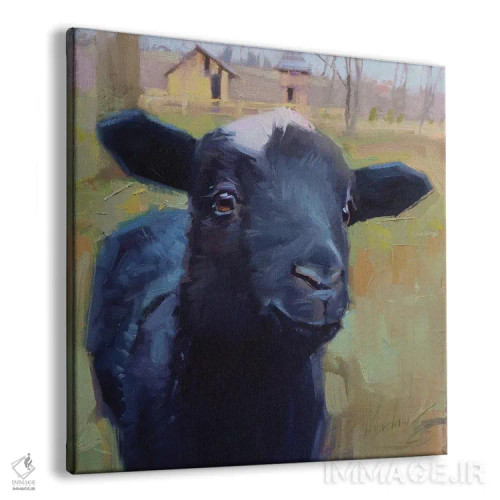 تابلو یک برهٔ کوچک، گوسفند سیاه، پرترهٔ گوسفند اثر الکس مووچون - نمای پرسپکتیو محصول