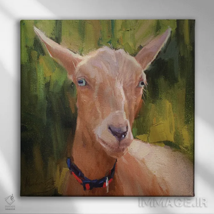 تابلو پرترهٔ بز، بز قرمز اثر الکس مووچون - نمای روبهرو روی دیوار