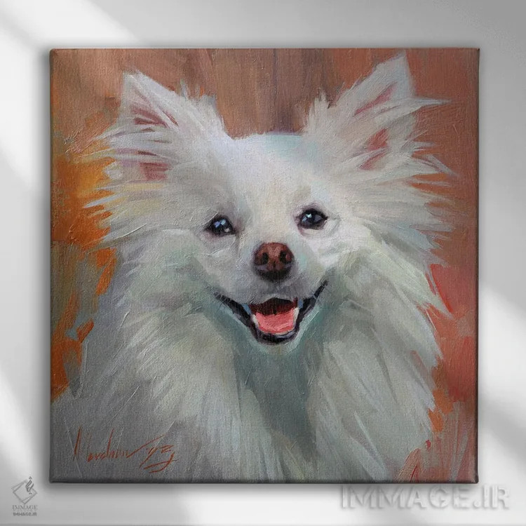 تابلو پرترهٔ سگ پشمالو در رنگهای گرم، پامرانین اثر الکس مووچون - نمای روبهرو روی دیوار