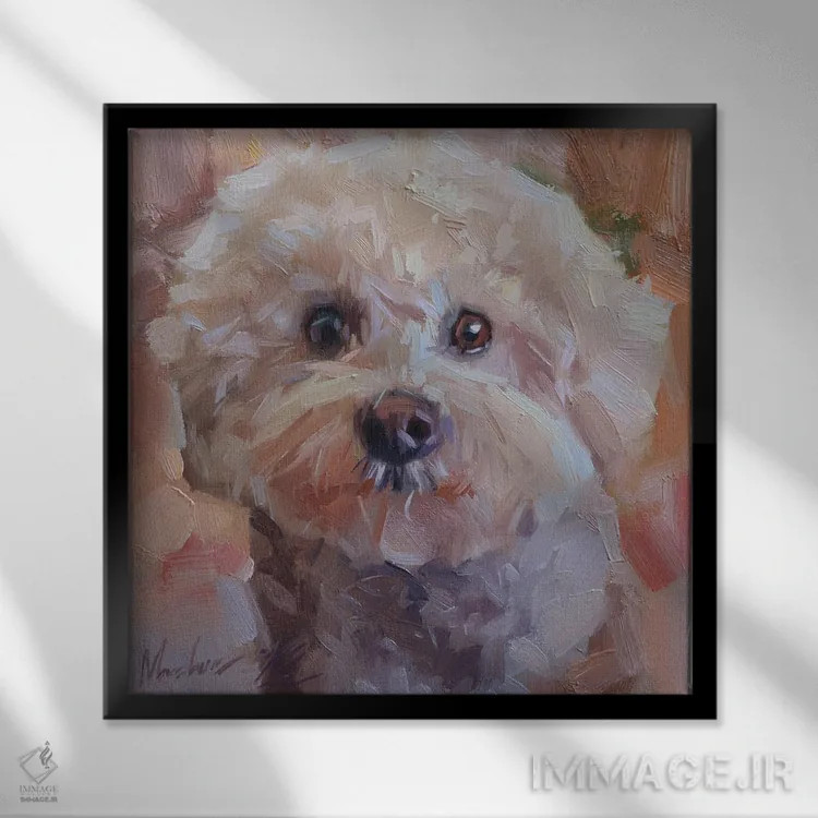 تابلو پرترهٔ پودل سفید کوچک (سگ) اثر الکس مووچون - نمای قابدار مشکی