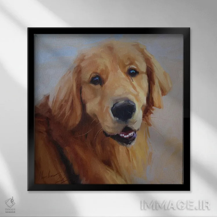 تابلو لابرادور طلایی اثر الکس مووچون - نمای قابدار مشکی