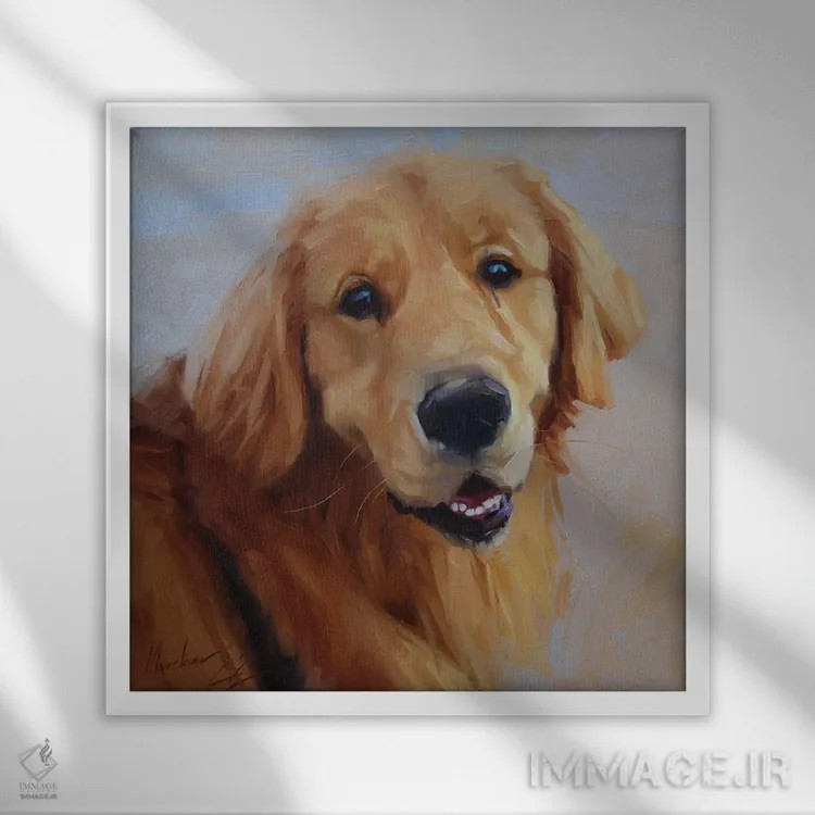 تابلو لابرادور طلایی اثر الکس مووچون - نمای قابدار سفید