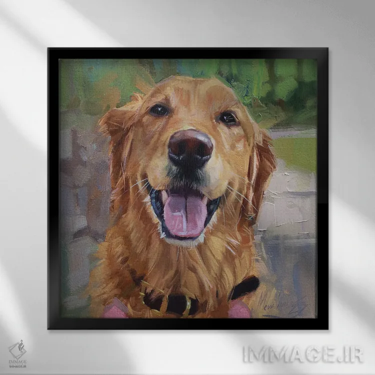 تابلو پرترهٔ گلدن رتریور اثر الکس مووچون - نمای قابدار مشکی