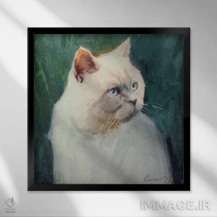 تابلو گربهٔ سفید بریتانیایی اثر الکس مووچون - نمای قابدار مشکی