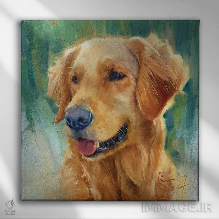تابلو گلدن رتریور در روز آفتابی اثر الکس مووچون - نمای روبهرو روی دیوار