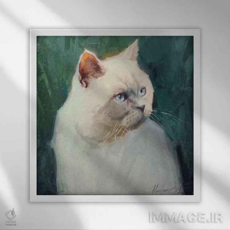 تابلو گربهٔ سفید بریتانیایی اثر الکس مووچون - نمای قابدار سفید