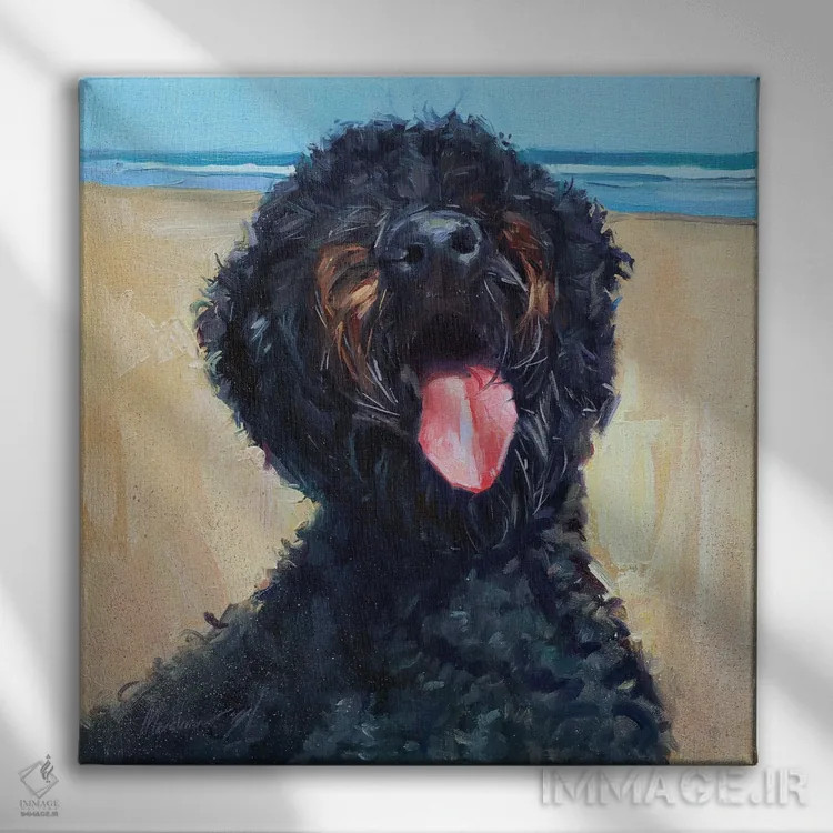 تابلو لابرادودل سیاه (سگ) اثر الکس مووچون - نمای روبهرو روی دیوار