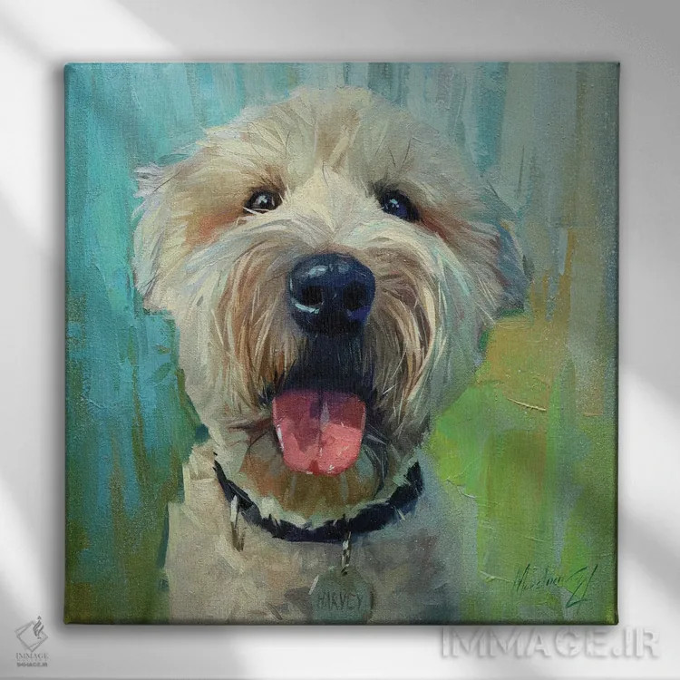 تابلو لابرادودل سفید (سگ) اثر الکس مووچون - نمای روبهرو روی دیوار