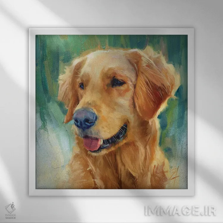 تابلو گلدن رتریور در روز آفتابی اثر الکس مووچون - نمای قابدار سفید