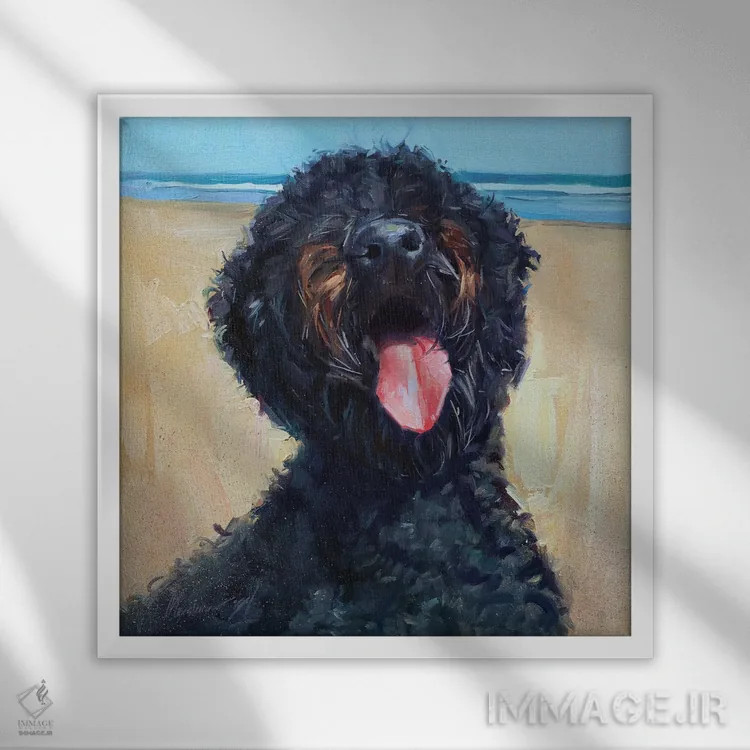 تابلو لابرادودل سیاه (سگ) اثر الکس مووچون - نمای قابدار سفید
