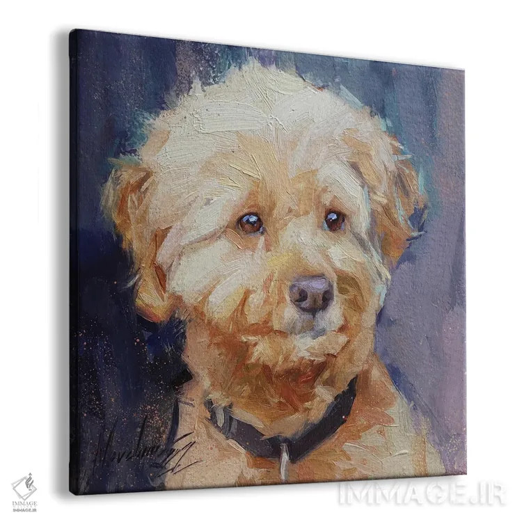 تابلو پودل سفید (نژاد سگ) اثر الکس مووچون - نمای پرسپکتیو محصول