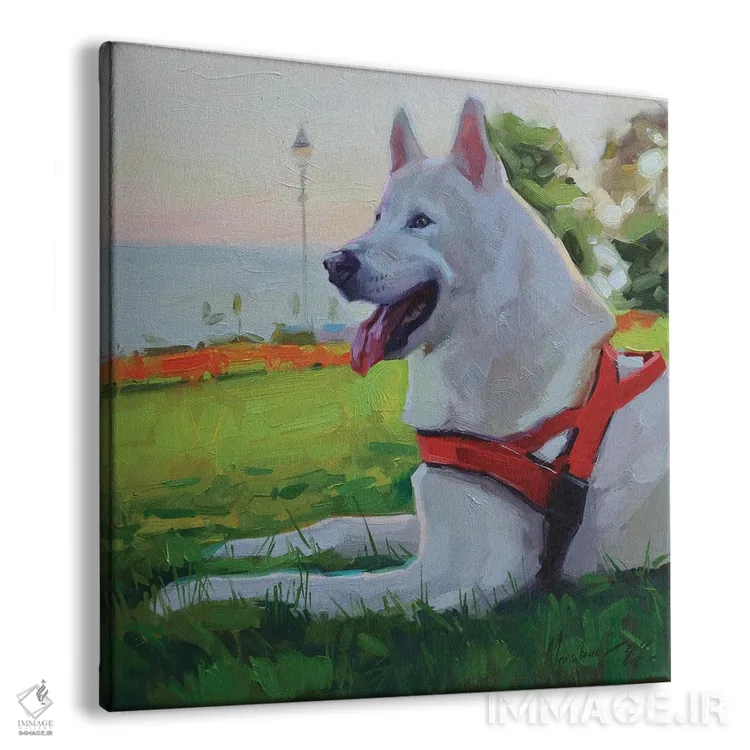 تابلو هاسکی سفید (نژاد سگ) اثر الکس مووچون - نمای پرسپکتیو محصول