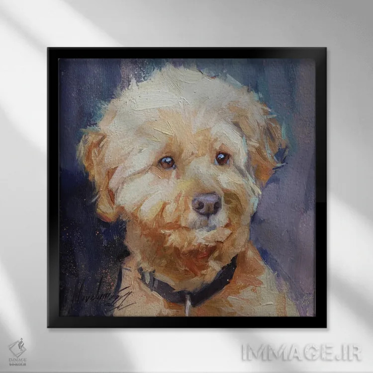 تابلو پودل سفید (نژاد سگ) اثر الکس مووچون - نمای قابدار مشکی