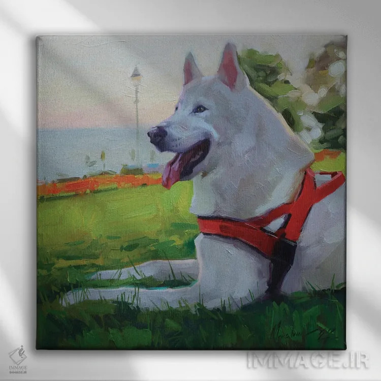 تابلو هاسکی سفید (نژاد سگ) اثر الکس مووچون - نمای روبهرو روی دیوار
