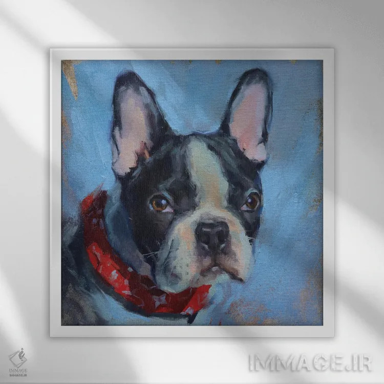 تابلو بولداگ فرانسوی (نژاد سگ) اثر الکس مووچون - نمای قابدار سفید