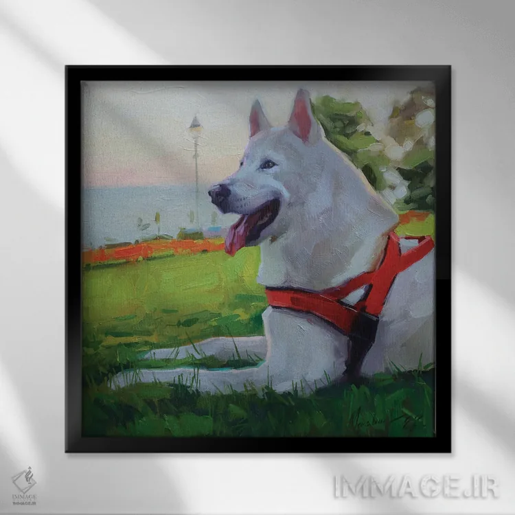 تابلو هاسکی سفید (نژاد سگ) اثر الکس مووچون - نمای قابدار مشکی