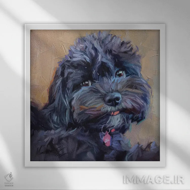 تابلو مالتیپو سیاه بامزه (نژاد ترکیبی سگ) اثر الکس مووچون - نمای قابدار سفید